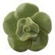 Pea Green Crackle Rose Flower Ceramic Knobs Online